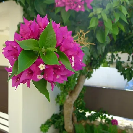 Maria & Manos Guest House, *